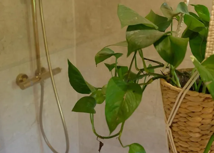 アパート Preverenges, 5 Min Epfl Unil, Calme & Proche プレヴェレンジュ