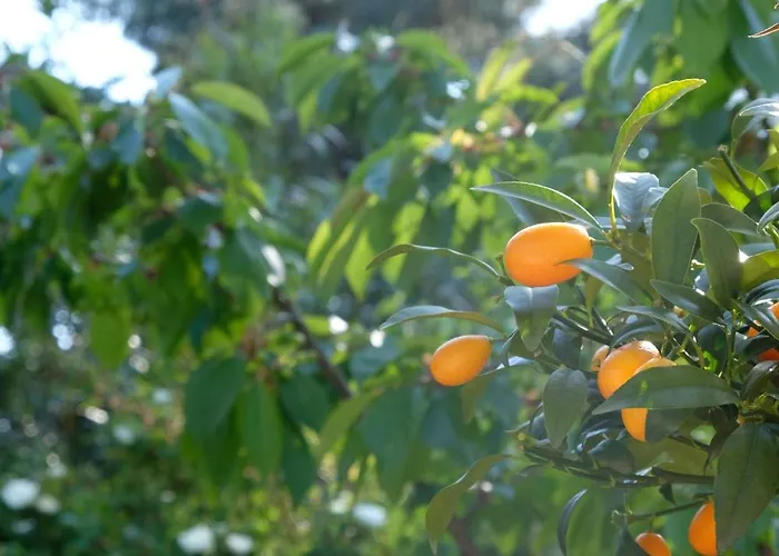 Apartament Preverenges, 5 Min Epfl Unil, Calme & Proche Preverenges