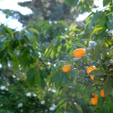 Апартаменты Preverenges, 5 Min Epfl Unil, Calme & Proche Преверанж